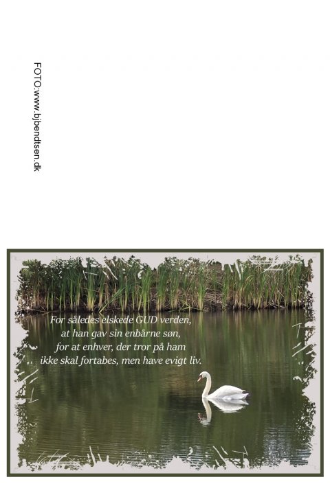 For sledes elskede Gud verden