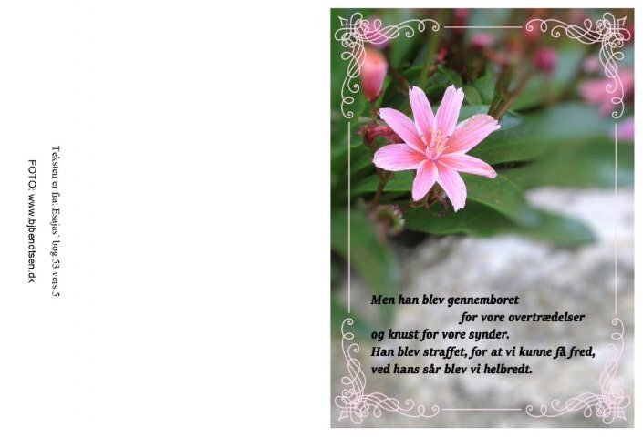 Men han blev gennemboret...