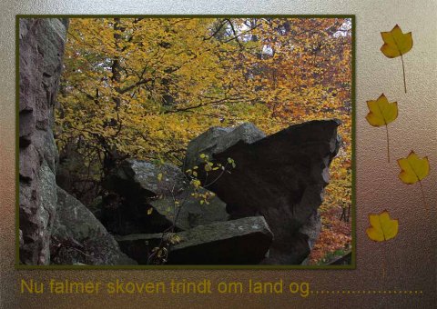 Nu falmer skoven......