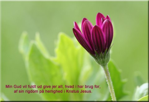 Min Gud vil fuldt ud give jer alt, hvad I har brug for......... Min Gud vil fuldt ud give jer alt, hvad I har brug for.........