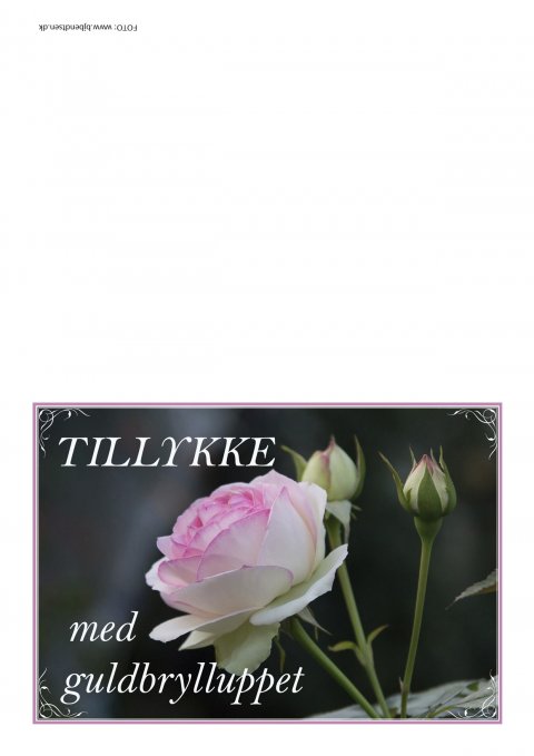 Tillykke med guldbrylluppet Tillykke med guldbrylluppet