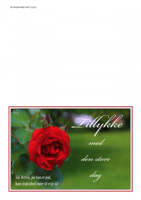 Tillykke med den store dag Tillykke med den store dag
