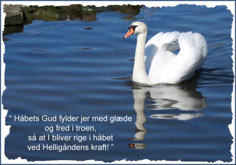 Håbets Gud fylder jer med glæde og fred i troen, så at I bliver rige i håbet ved Helligåndens kraft. Håbets Gud fylder jer med glæde og fred i troen, så at I bliver rige i håbet ved Helligåndens kraft.