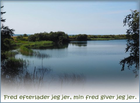 Fred efterlader jeg jer, min fred giver jeg jer