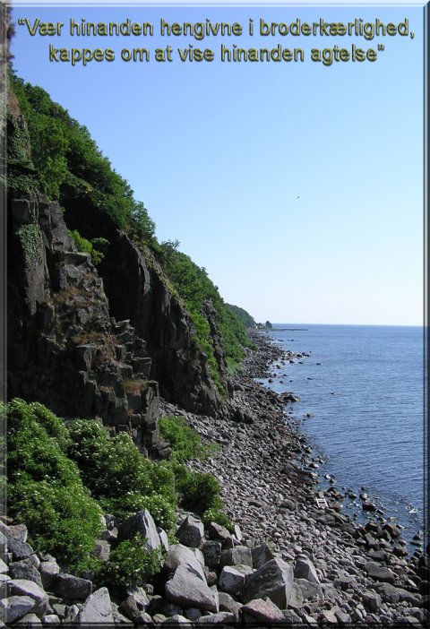 Vær hinanden hengivne i broderkærlighed, kappes om at vise hinanden agtelse. Vær hinanden hengivne i broderkærlighed, kappes om at vise hinanden agtelse.